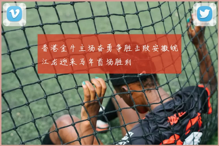 香港金牛主场奋勇争胜击败安徽皖江龙迎来马年首场胜利