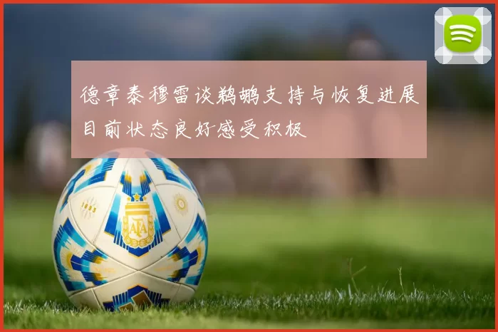 德章泰穆雷谈鹈鹕支持与恢复进展目前状态良好感受积极